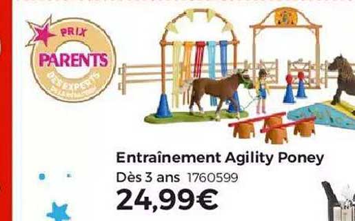 entraînement agility poney