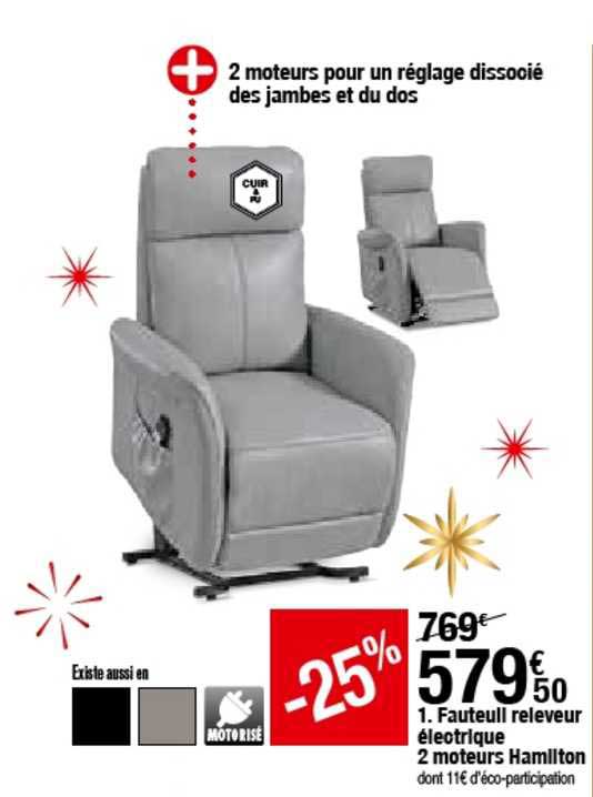 fauteuil releveur électrique 2 moteurs hamilton