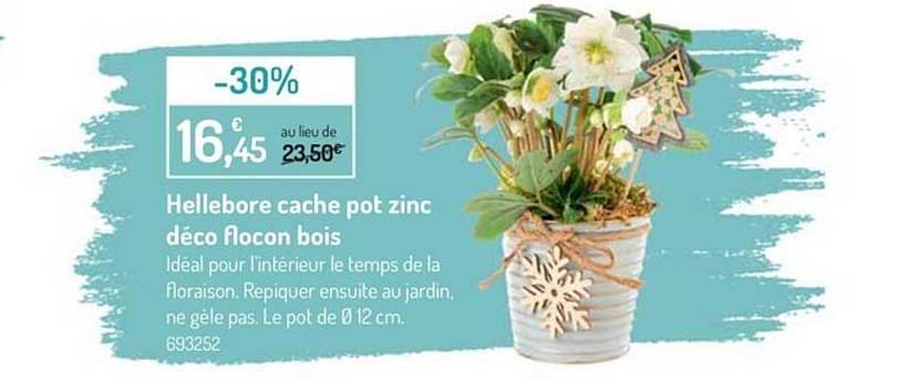 hellebore cache pot zinc déco flocon bois