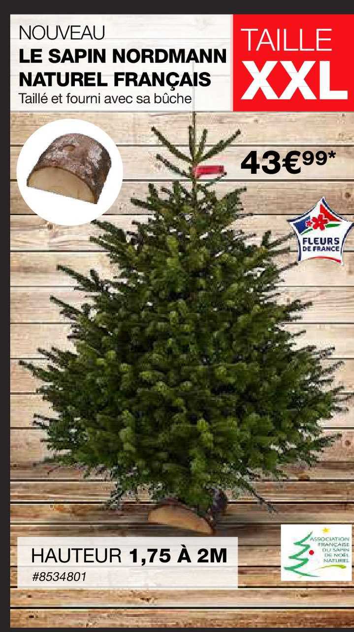 le sapin nordmann naturel français