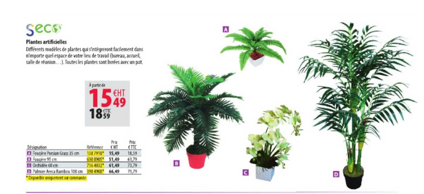 Plantes Artificielles Sec