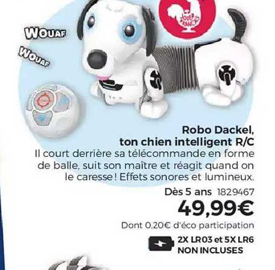 robo dackel, ton chien intelligent r c
