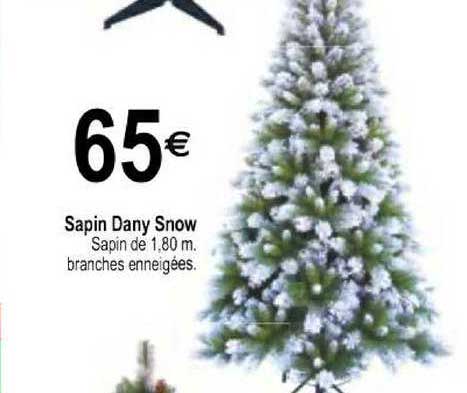 sapin dany snow