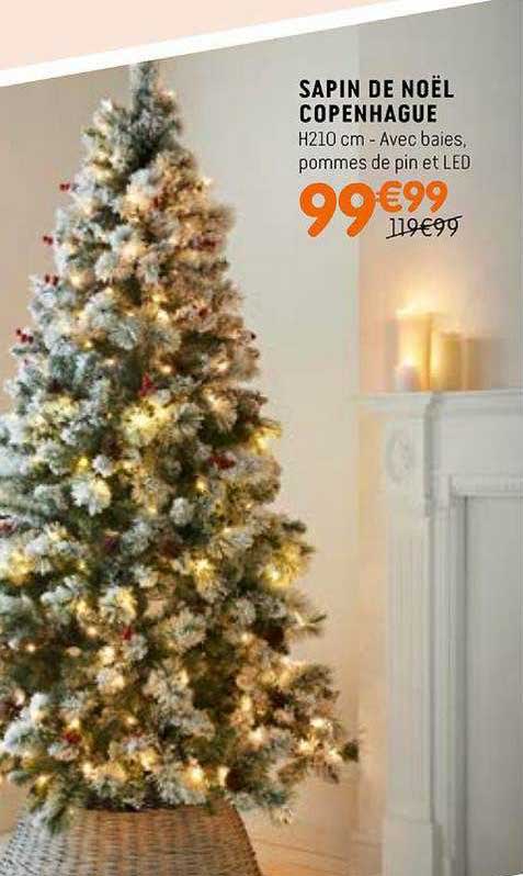 Sapin De Noël Copenhague