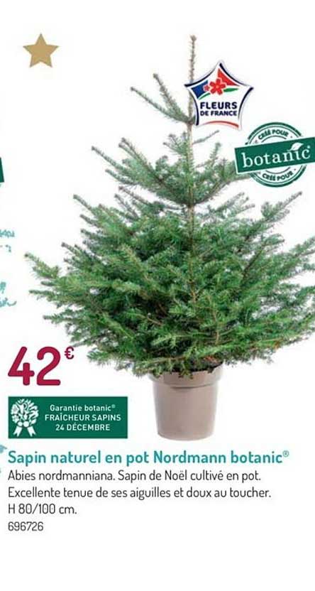 sapin naturel en pot nordmann botanic