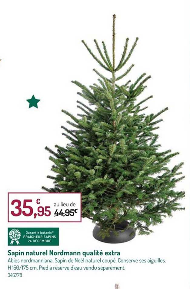 sapin naturel nordmann qualité extra