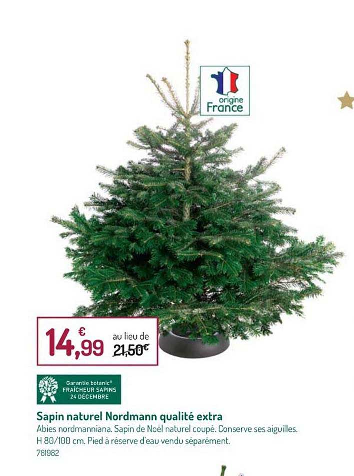 sapin naturel nordmann qualité extra
