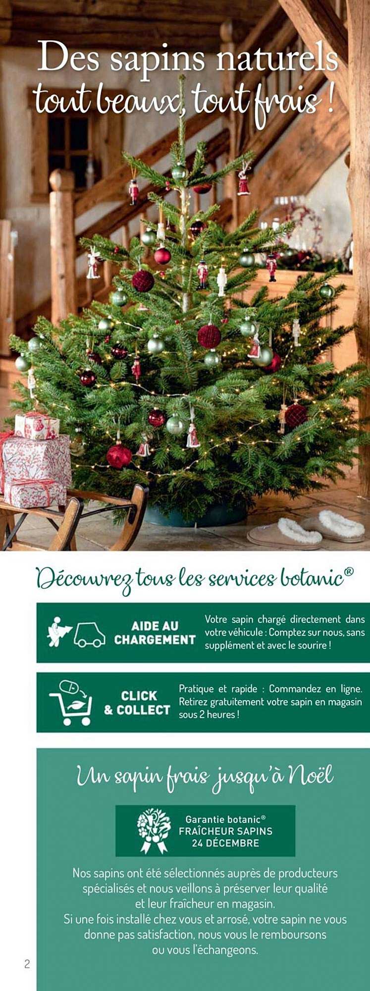 sapins naturels
