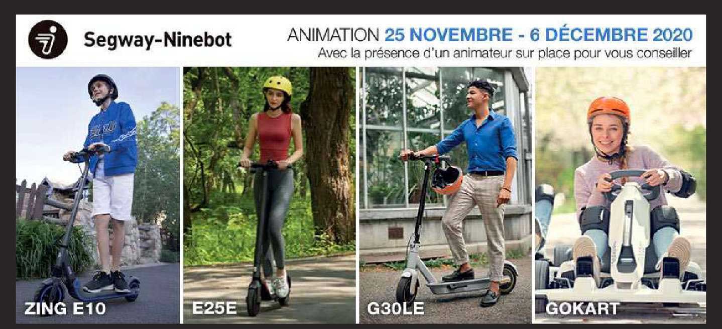 segway - ninebot zing e10, e25e, g30le, gokart