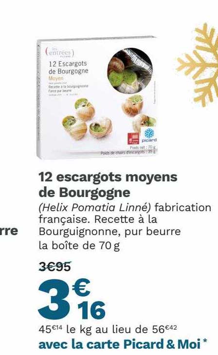 12 escargots moyens de bourgogne
