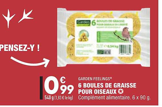6 Boules De Graisse Pour Oiseaux Garden Feelings