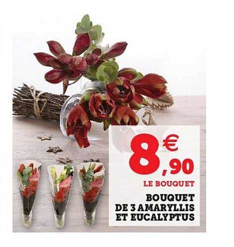bouquet de 3 amaryllis et eucalyptus