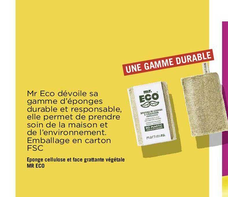 éponge cellulose et face grattante végétale mr éco