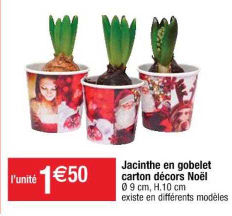 jacinthe en gobelet carton décors noël