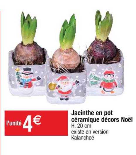 jacinthe en pot céramique décors noël