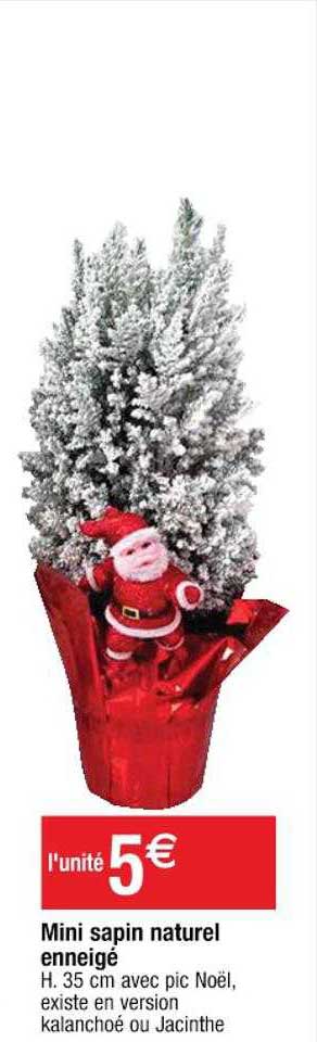 mini sapin naturel enneigé