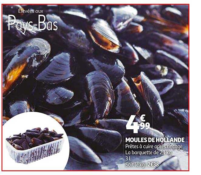 moules de holland
