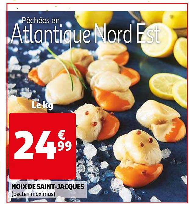 noix de saint-jacques