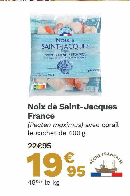 noix de saint-jacques france