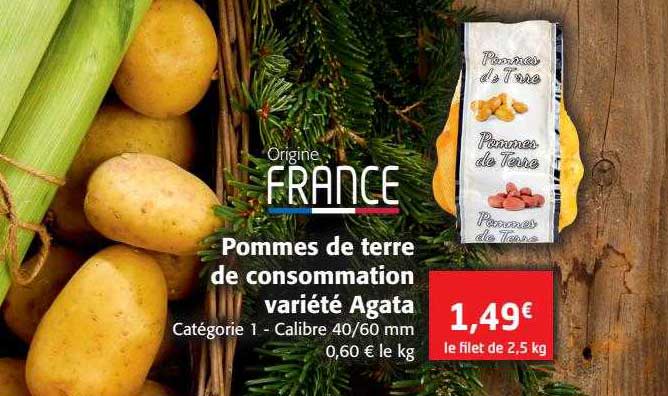 pommes de terre de consommation variété agata