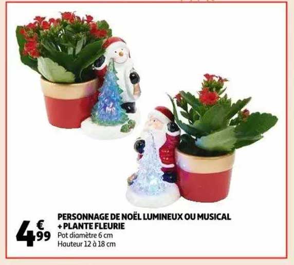 personnage de noël lumineux ou musical + plante fleurie