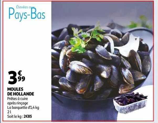 Moules De Hollande