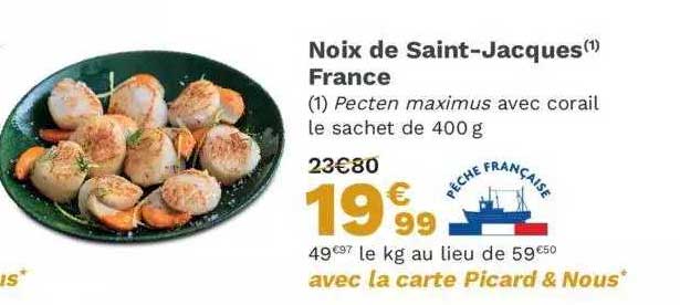 noix de saint-jacques france