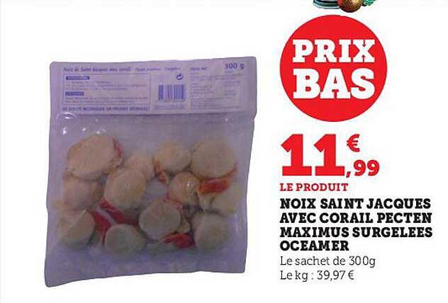 Noix Saint Jacques Avec Corail Pecten Maximus Surgelées Oceamer
