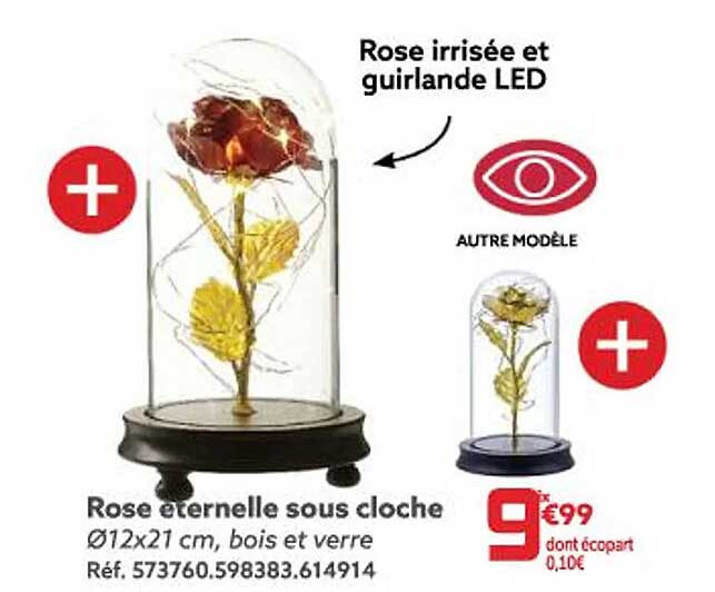 rose éternelle sous cloche