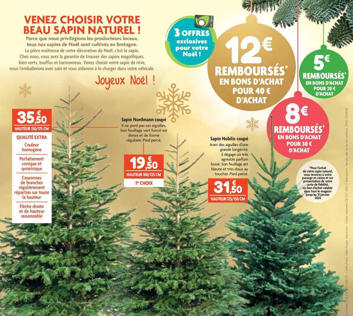 sapin nordmann coupé, sapin nobilis coupé