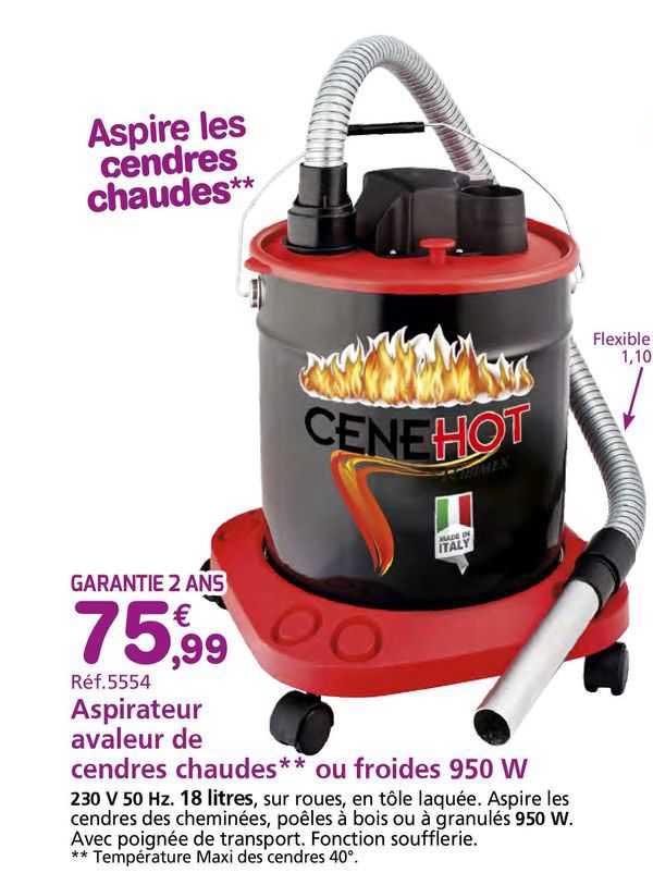 aspirateur avaleur de cendres chaudes ou froides 950 w