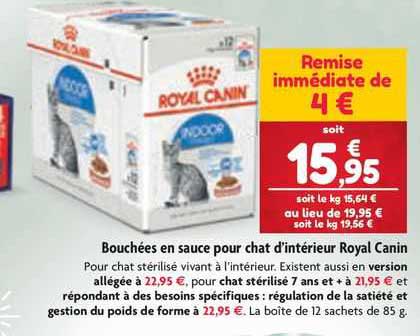bouchées en sauce pour chat d'intérieur royal canin