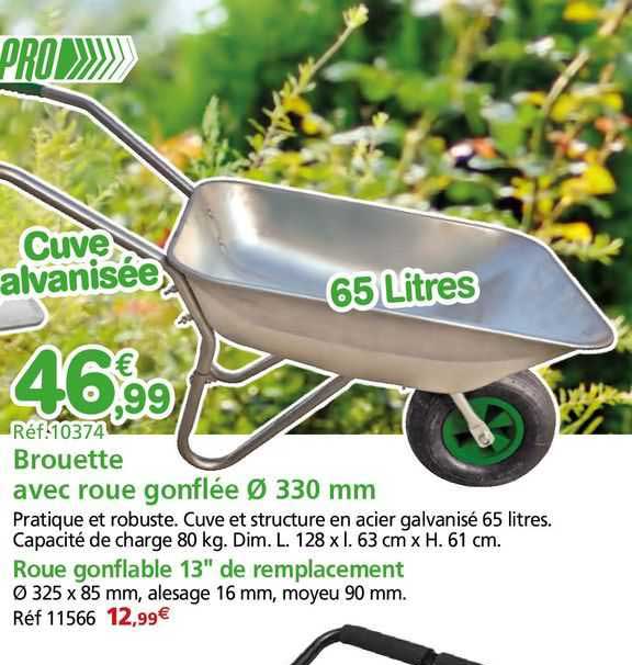 Brouette Avec Roue Gonflée ø 330 Mm