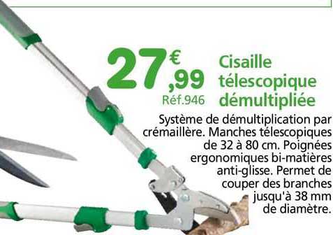Cisaille Télescopique Démultipliée