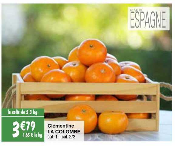 clémentine la colombe