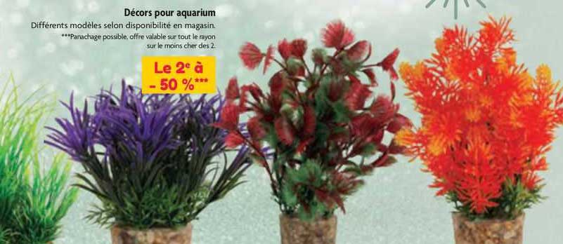 décors pour aquarium