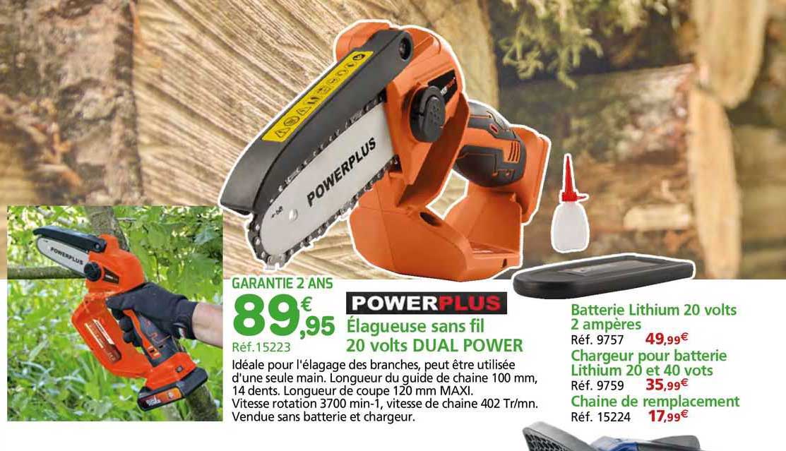 élagueuse sans fil 20 volts dual power powerplus
