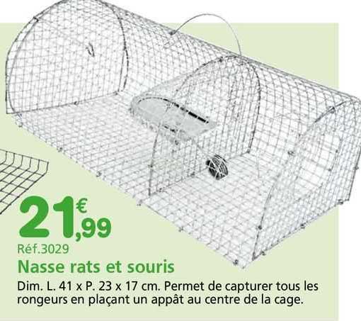 Nasse Rats Et Souris