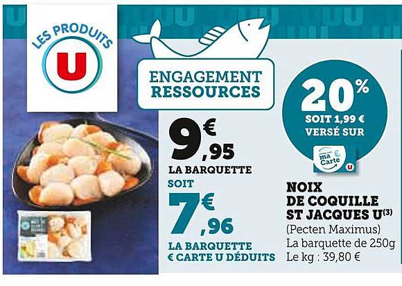 noix de coquille st jacques u