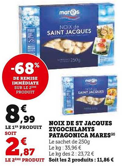 noix de st jacques zygochlamys patagonica mares