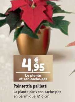 poinsettia pailleté