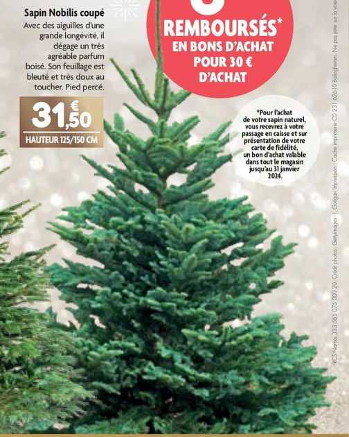 Sapin Nobilis Coupé