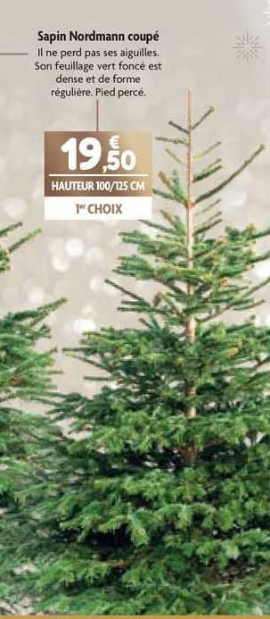 sapin nordmann coupé