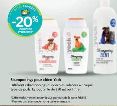 Shampooings Pour Chien Yock