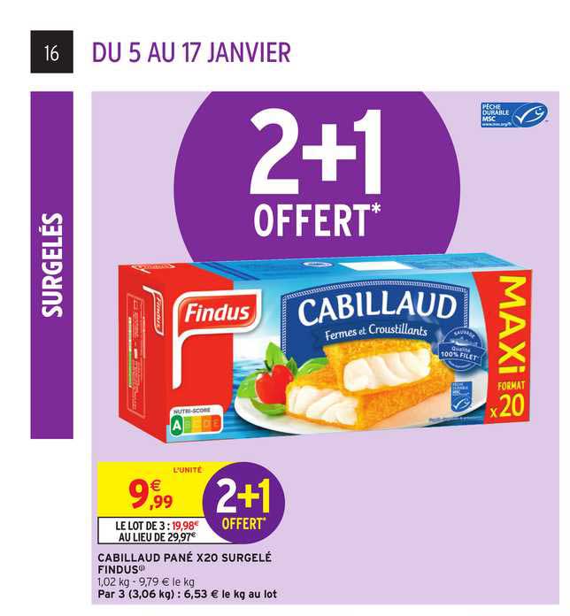 cabillaud pané x20 surgelé findus