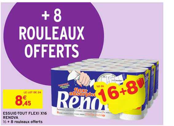 essuie-tout flexi x16 renova