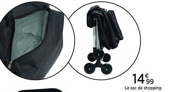 le sac de shopping