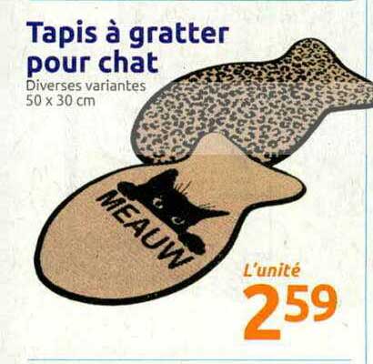 tapis à gratter pour chat