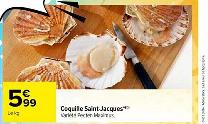 Coquille Saint-jacques