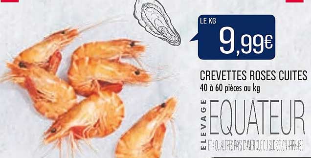 Crevettes Roses Cuites